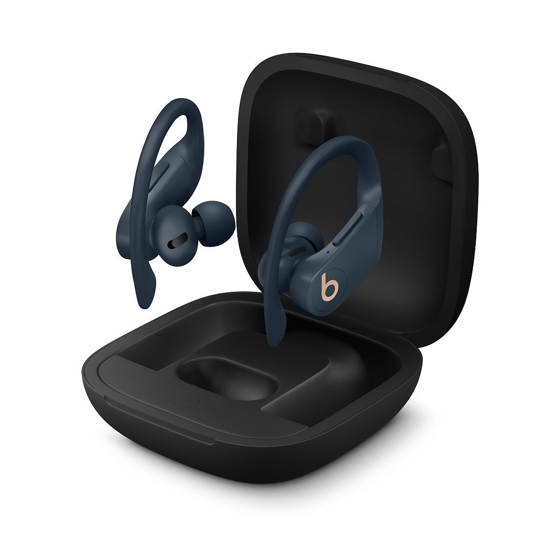 Totally Wireless Earphones